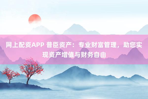 网上配资APP 普臣资产：专业财富管理，助您实现资产增值与财务自由