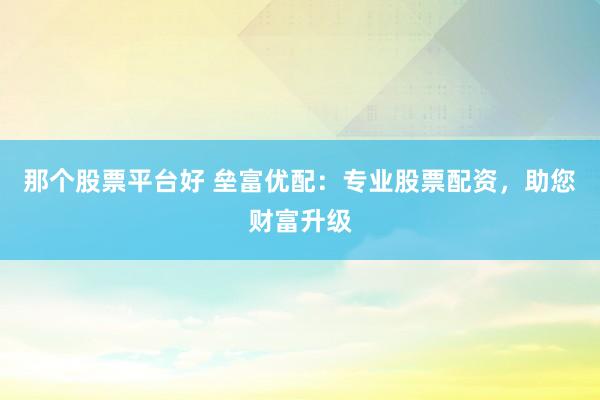 那个股票平台好 垒富优配：专业股票配资，助您财富升级